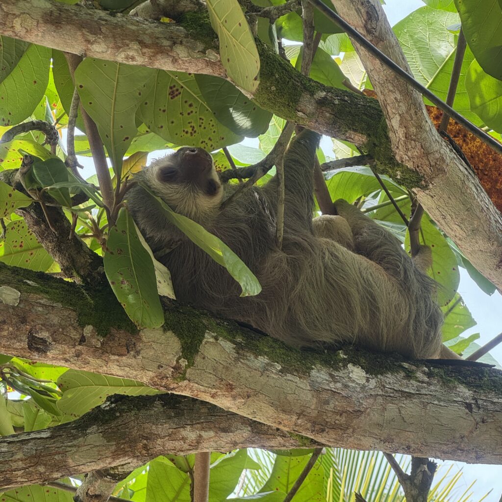 costa rica