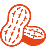 peanut icon